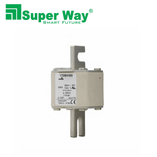 170M4066 High Speed Square Body Fuse