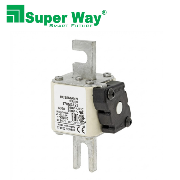 170M3123 High Speed Square Body Fuse