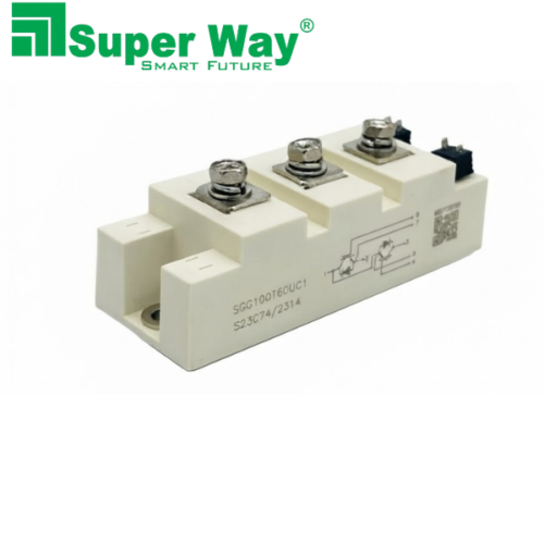 SGG100T60UC1 IGBT Module