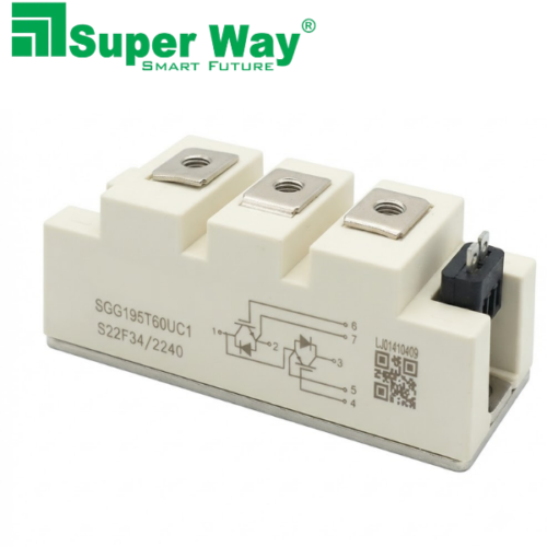 SGG195T60UC1 IGBT Module
