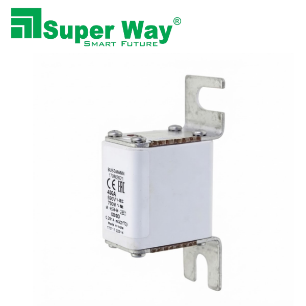 170M2621 High Speed Square Body Fuse